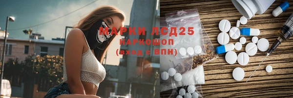 индика Абинск