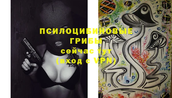 крисы Абаза